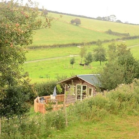 Woolcombe Cabin East Allington Ngoại thất bức ảnh