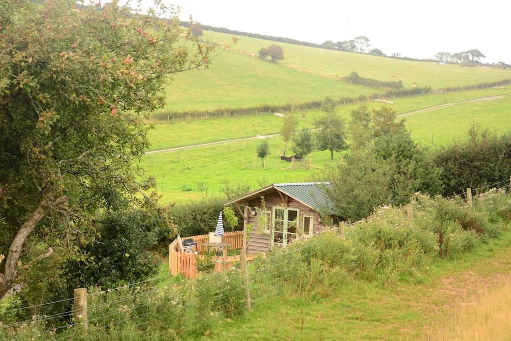 Woolcombe Cabin East Allington Ngoại thất bức ảnh