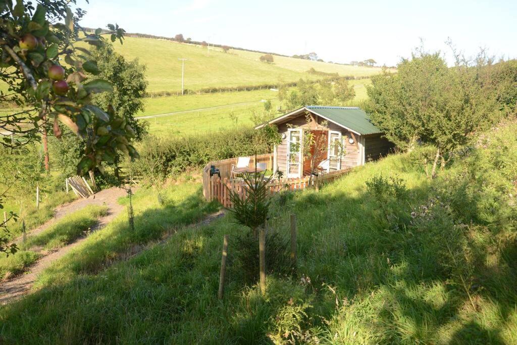 Woolcombe Cabin East Allington Ngoại thất bức ảnh